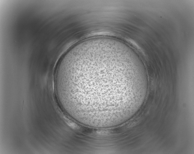 X0000073851274200608311951