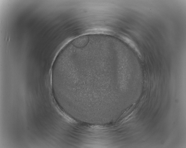 X0000073851275200608311951