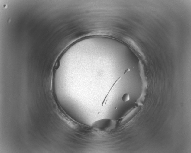 X0000073851276200608311951