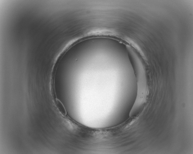 X0000073851277200608311951