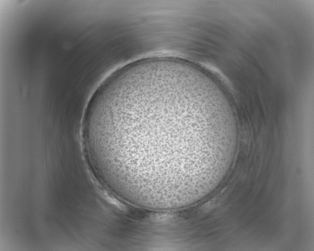 X0000073851278200608311951