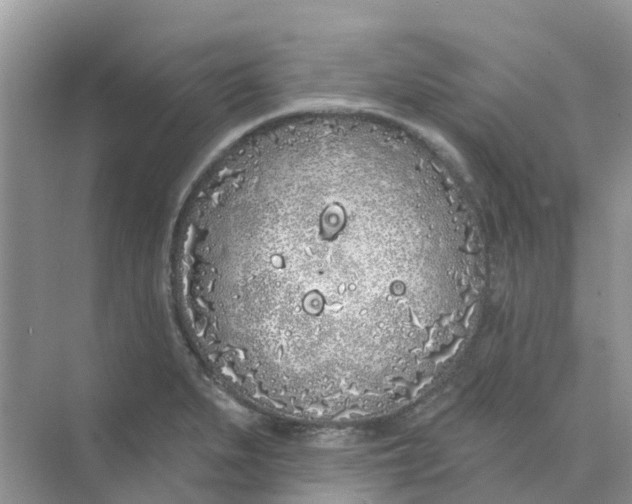 X0000073851279200608311951