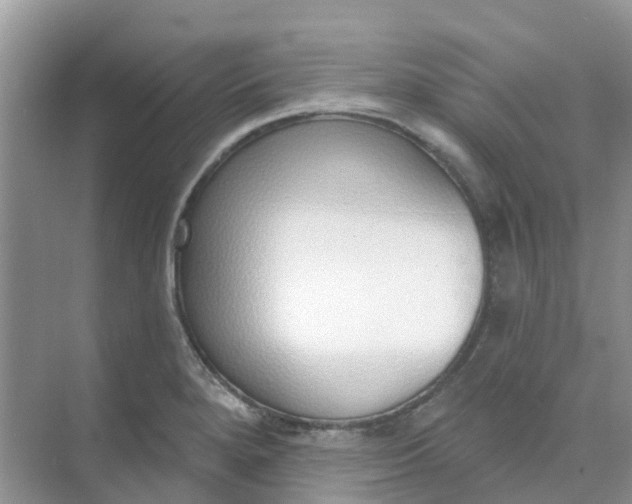 X0000073851280200608311951