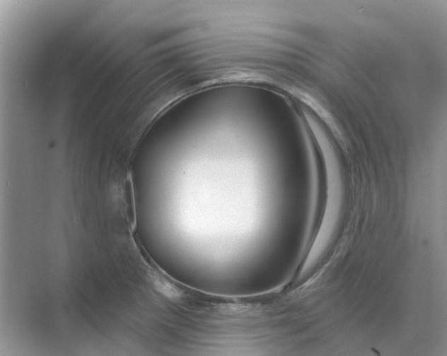 X0000073851281200608311951