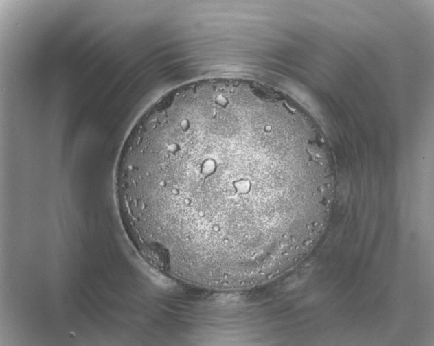 X0000073851283200608311951