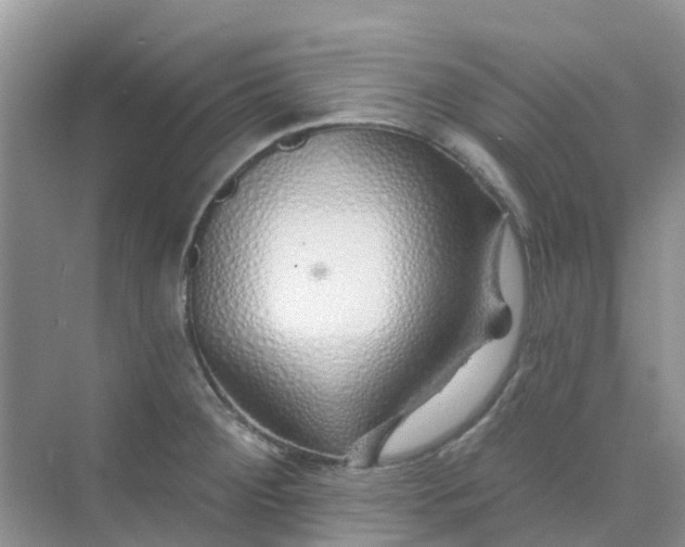 X0000073851284200608311951