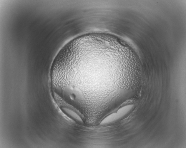 X0000073851287200608311951