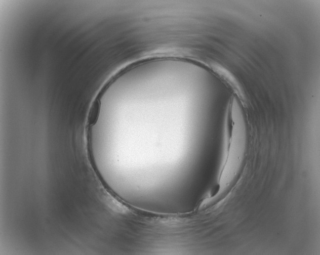 X0000073851288200608311951