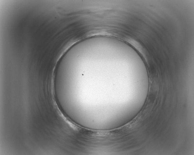 X0000073851290200608311951