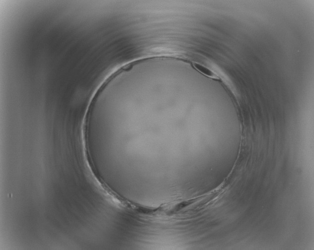 X0000073851291200608311951