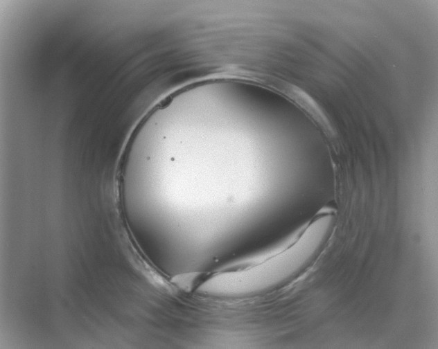 X0000073851292200608311951