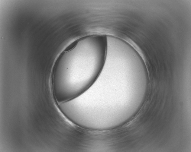 X0000073851293200608311951