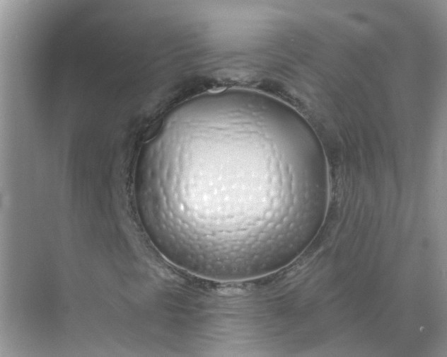 X0000073851297200608311950