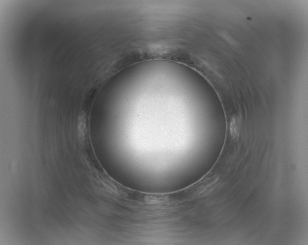 X0000073851299200608311950