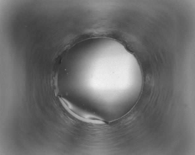 X0000073851300200608311950