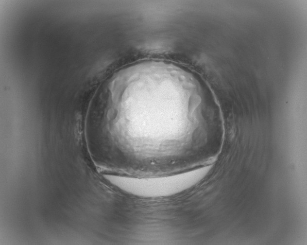 X0000073851301200608311950