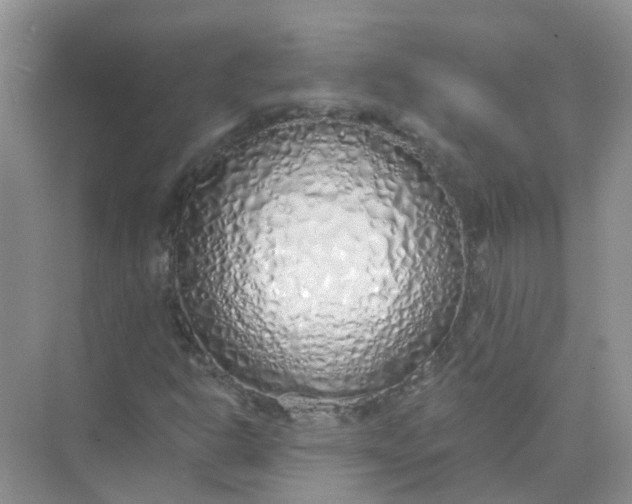 X0000073851302200608311950