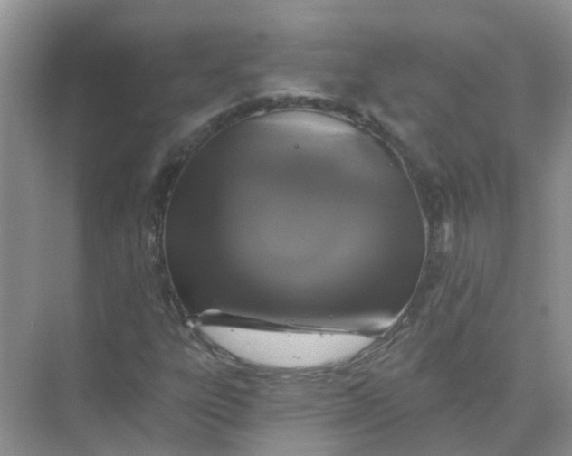 X0000073851303200608311950