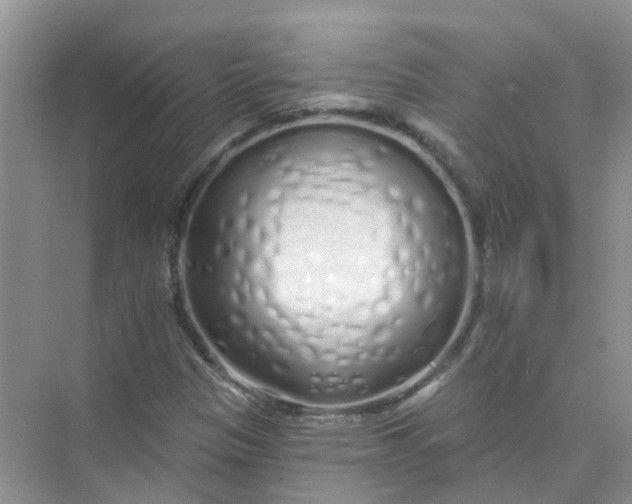 X0000073851305200608311950