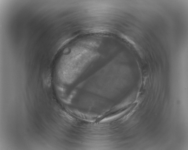 X0000073851306200608311950