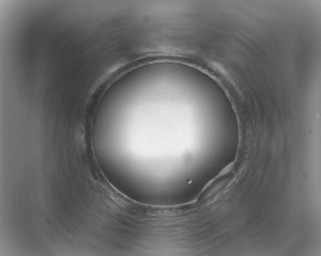 X0000073851307200608311950