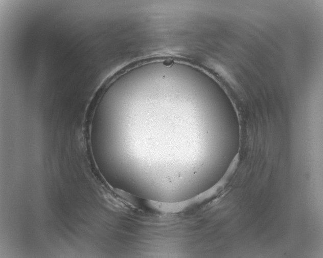 X0000073851308200608311950