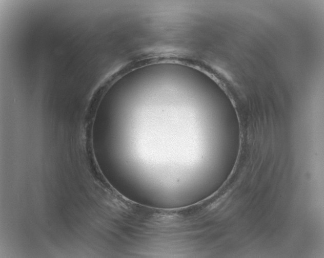 X0000073851309200608311950