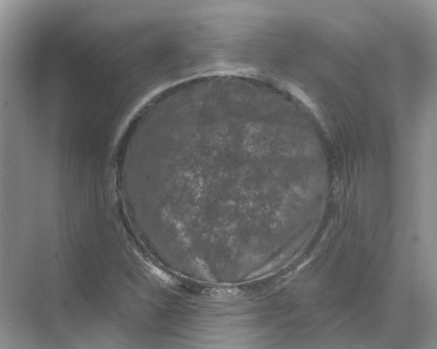 X0000073851310200608311950