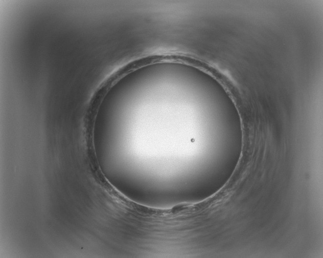 X0000073851311200608311950