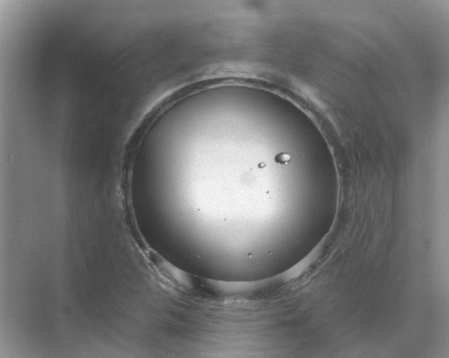 X0000073851312200608311950