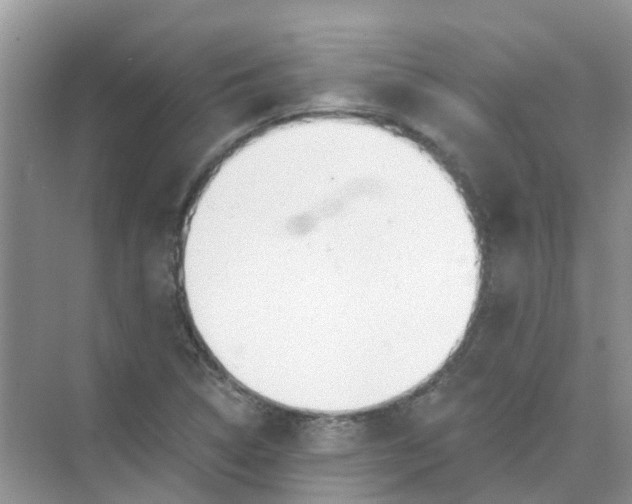 X0000073851314200608311950