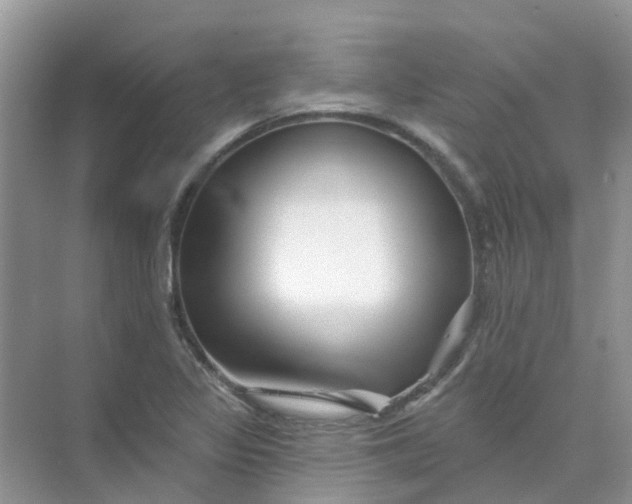 X0000073851317200608311950