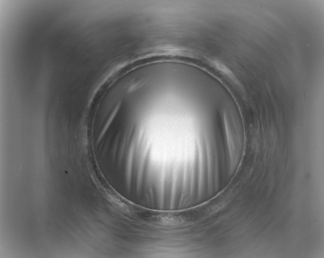 X0000073851318200608311950