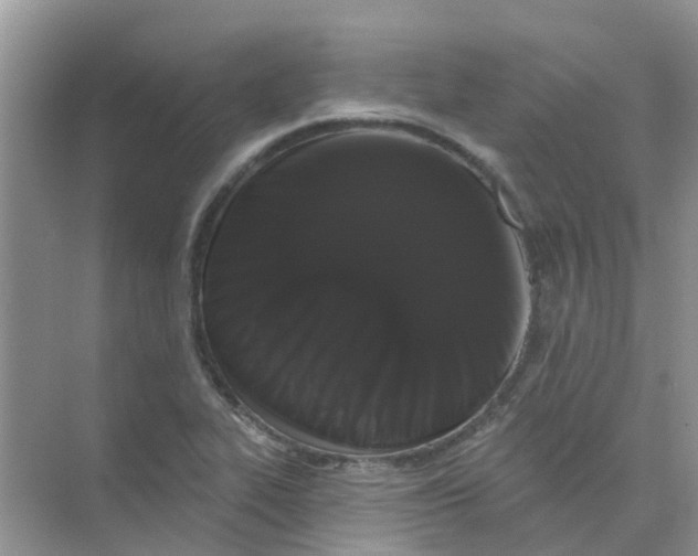 X0000073851319200608311950