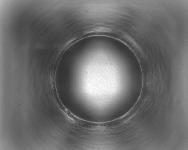 X0000073851321200608311950