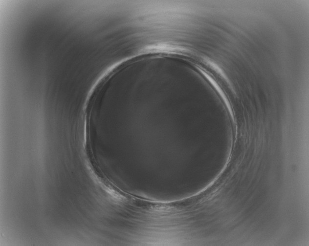 X0000073851323200608311950