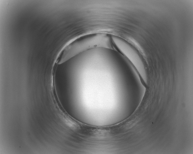 X0000073851324200608311950