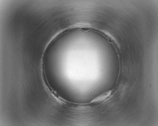 X0000073851325200608311950