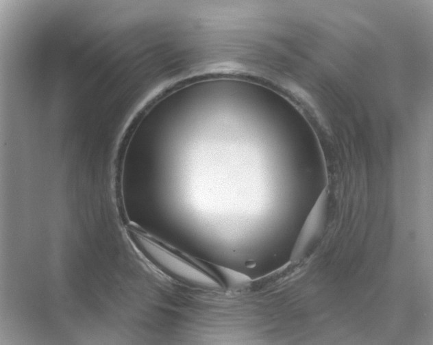 X0000073851326200608311950