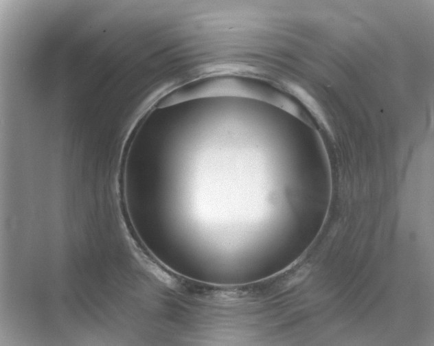 X0000073851330200608311950