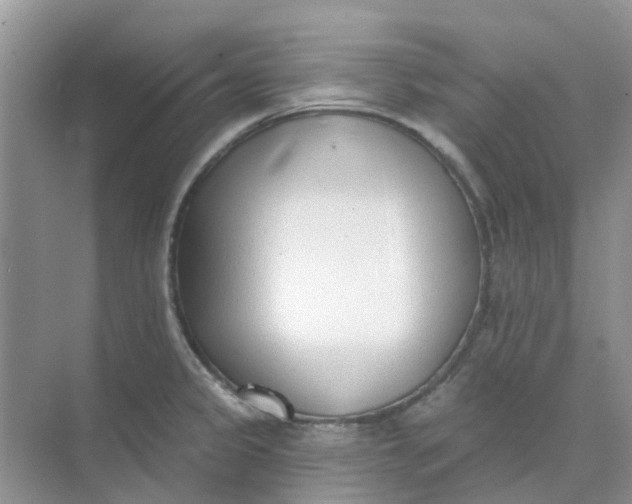 X0000073851333200608311950