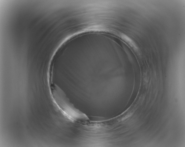 X0000073851334200608311950