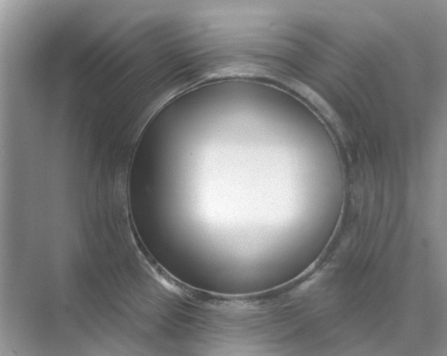 X0000073851337200608311951