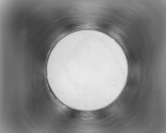 X0000073851338200608311951