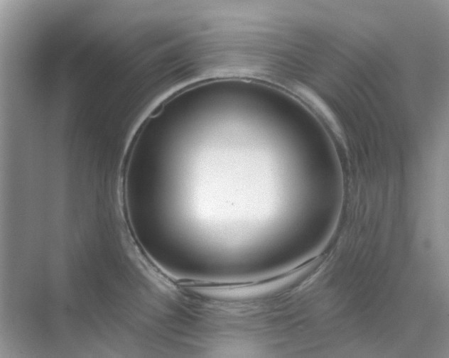 X0000073851340200608311951