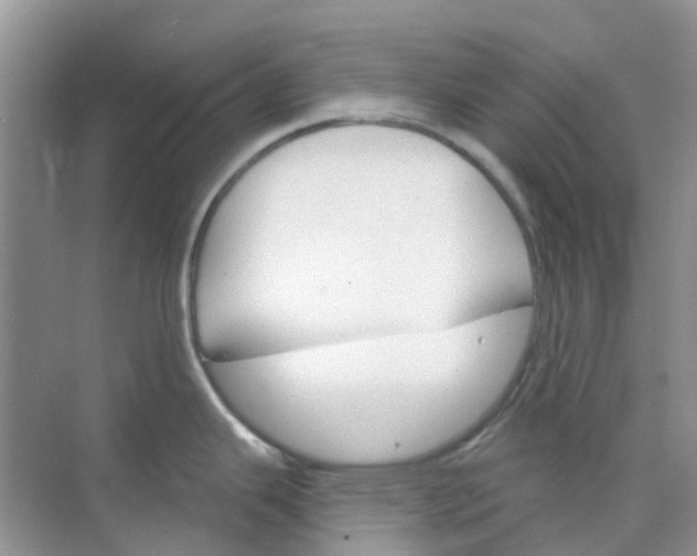 X0000073851343200608311951