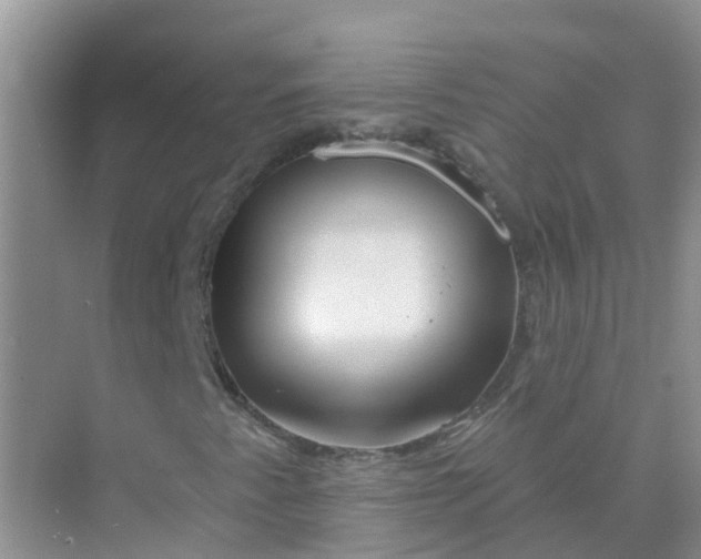 X0000073851345200608311950