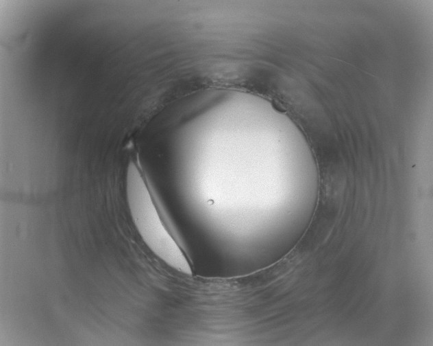 X0000073851346200608311950