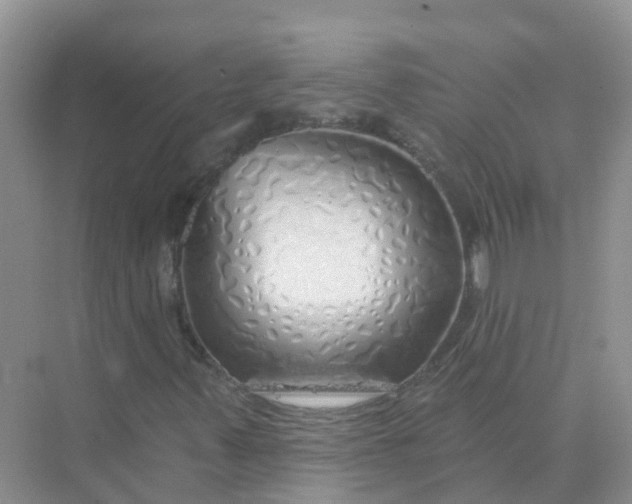 X0000073851347200608311950