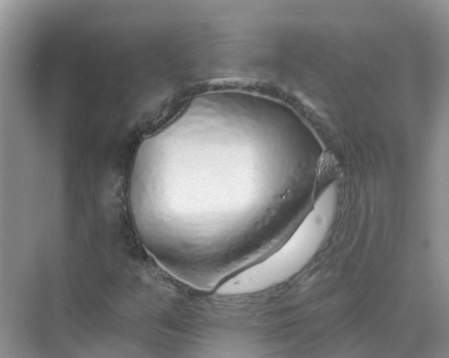 X0000073851351200608311950